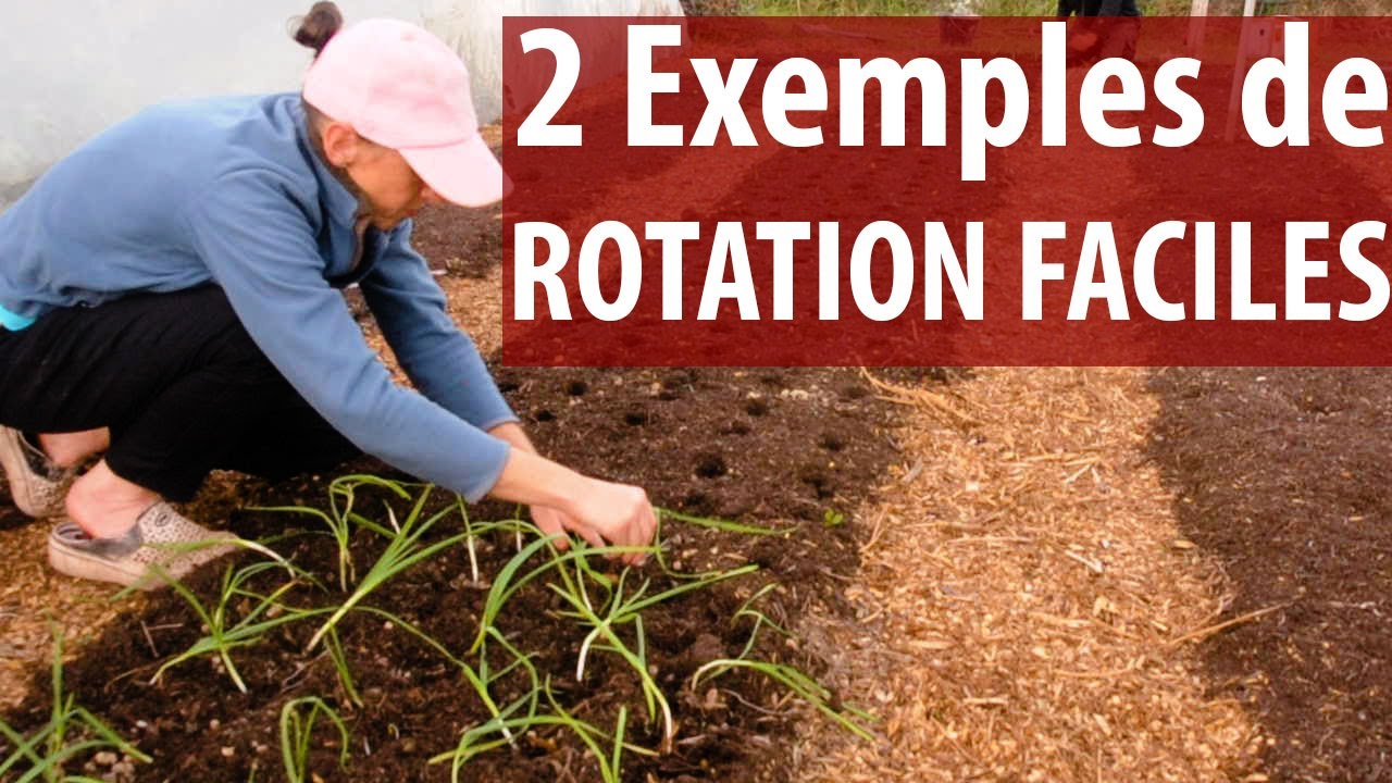 2 rotations de culture faciles - Objectif Zéro Désherbage 2