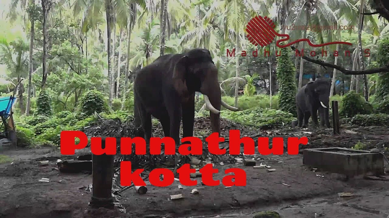 Punnathurkotta, #bornfortravel,