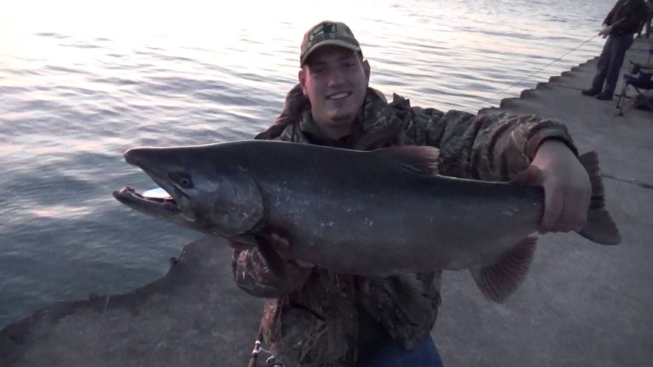 PIER CASTING SPOONS for KING SALMON