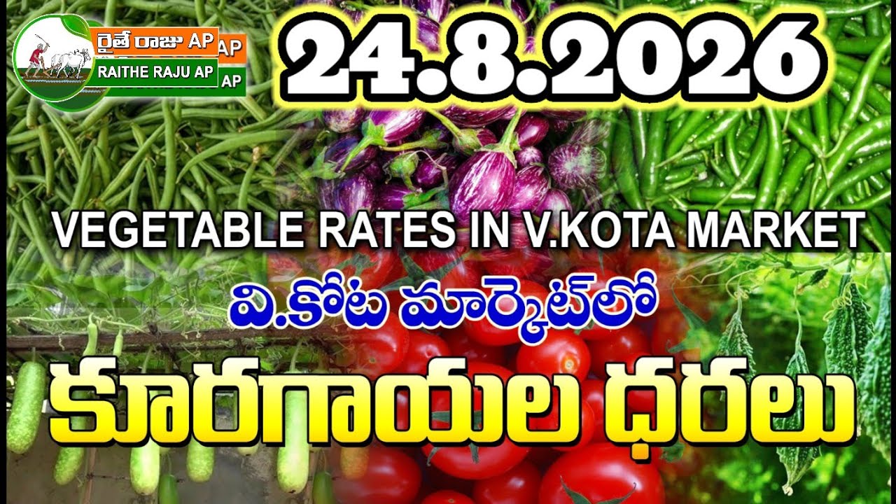 #AMC V.KOTA TODAY BEANS PRICE IN MARKET #ALL VEGETABLE PRICES #marigold 