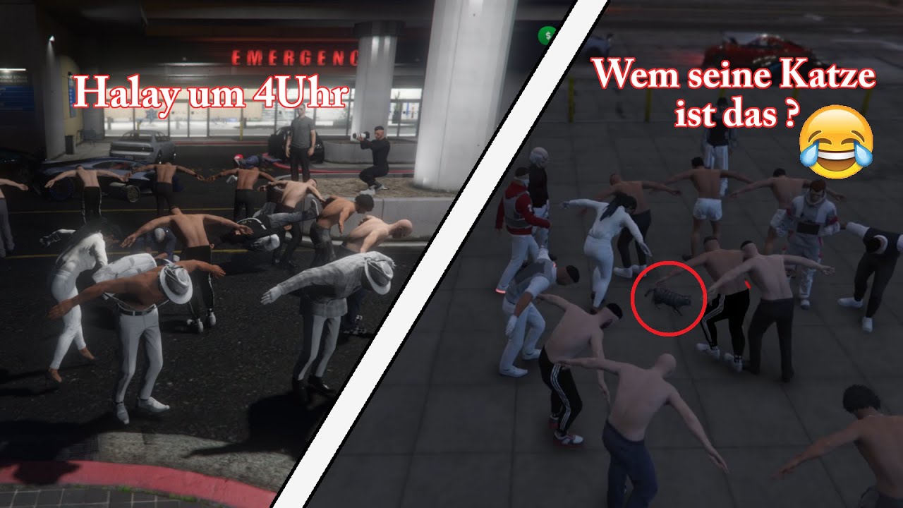 GTA 5 Roleplay Halay Tanzen / Katze am MP