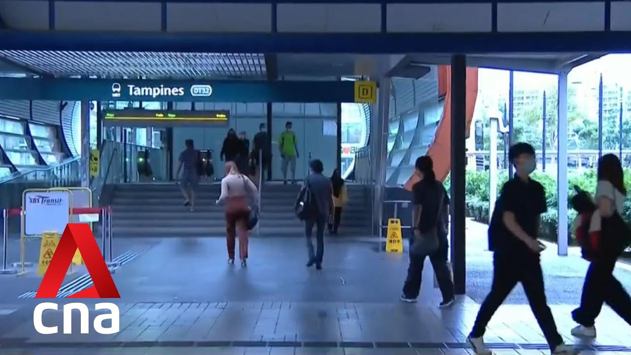 Public transport services will be adjusted if needed as demand goes up: LTA