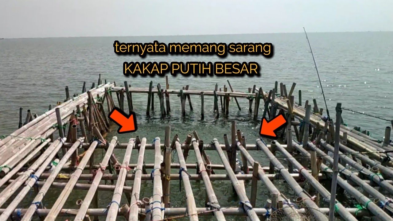 nyoba mancing di bagan KOPO serang banten!!!