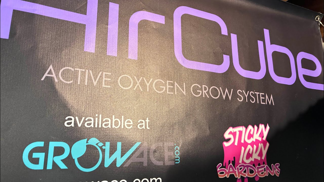 HOW TO PROPERLY GROW USING THE EBB AND FLOW AIR CUBE SYSTEM!