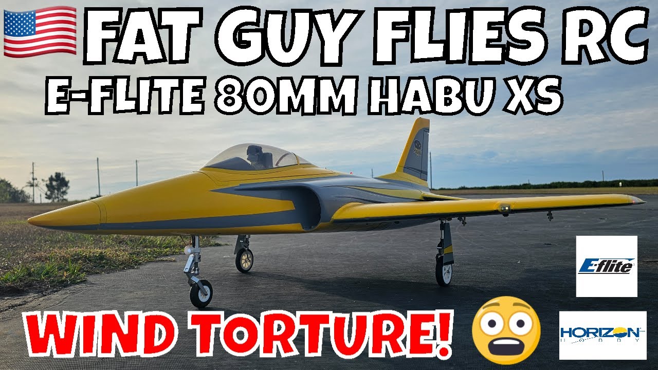E-FLITE 80MM HABU XS WIND TORTURE от FGFRC #авиация #радиоуправляемыереактивныедвигатели #радиоуп...