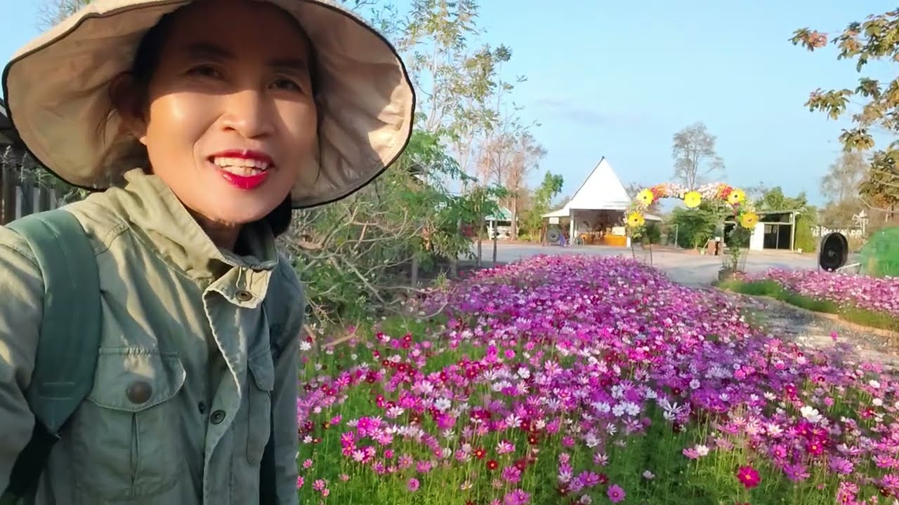 ยืนงงอยู่ในดงดอกไม้ไม่คิดว่าจะสวยขนาดนี้
