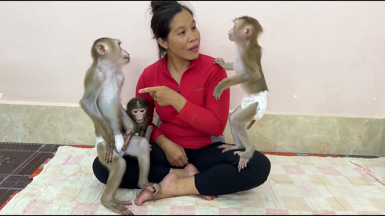 Super talking ! Jula & Sovan fast lip talk to mom who mom love more ?