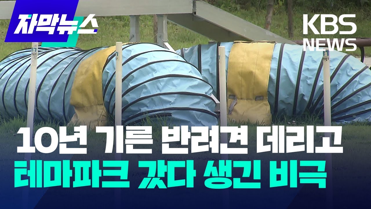 [자막뉴스] 10년 기른 반려견 데리고 국내 최대 반려견 테마파크 갔다가 생긴 비극 / KBS 2023.07.08.