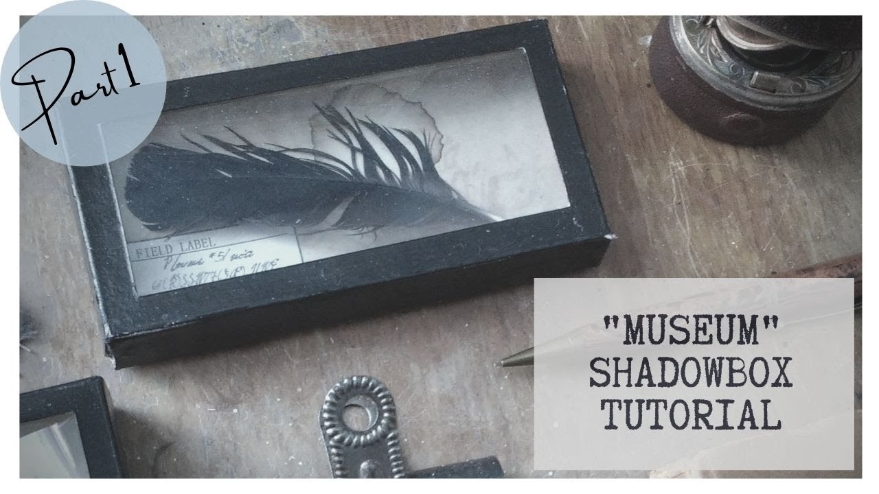 Shadow Box DIY - Part I - Creating my Own Museum Displays