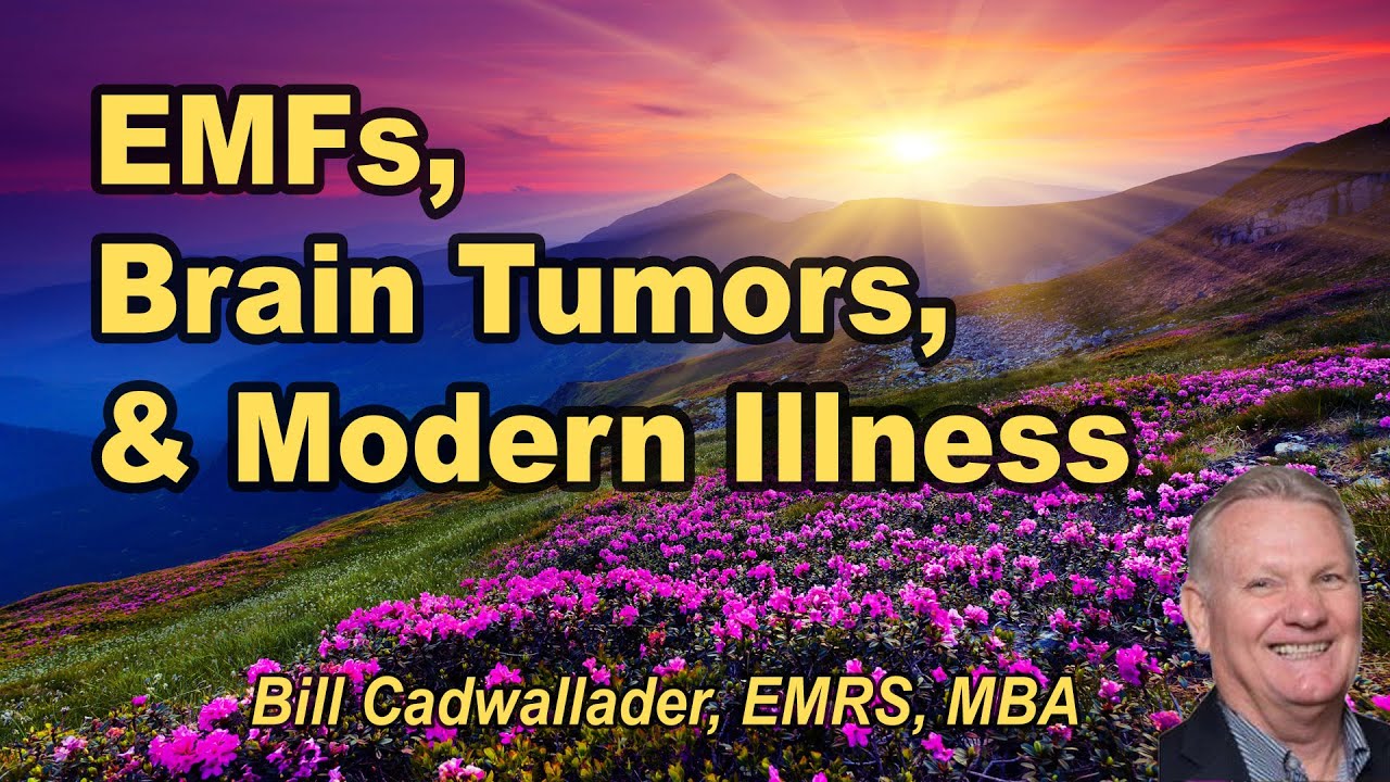 Электромагнитные поля, опухоли головного мозга и современные болезни: Билл Кэдвалладер, MBA, EMRS