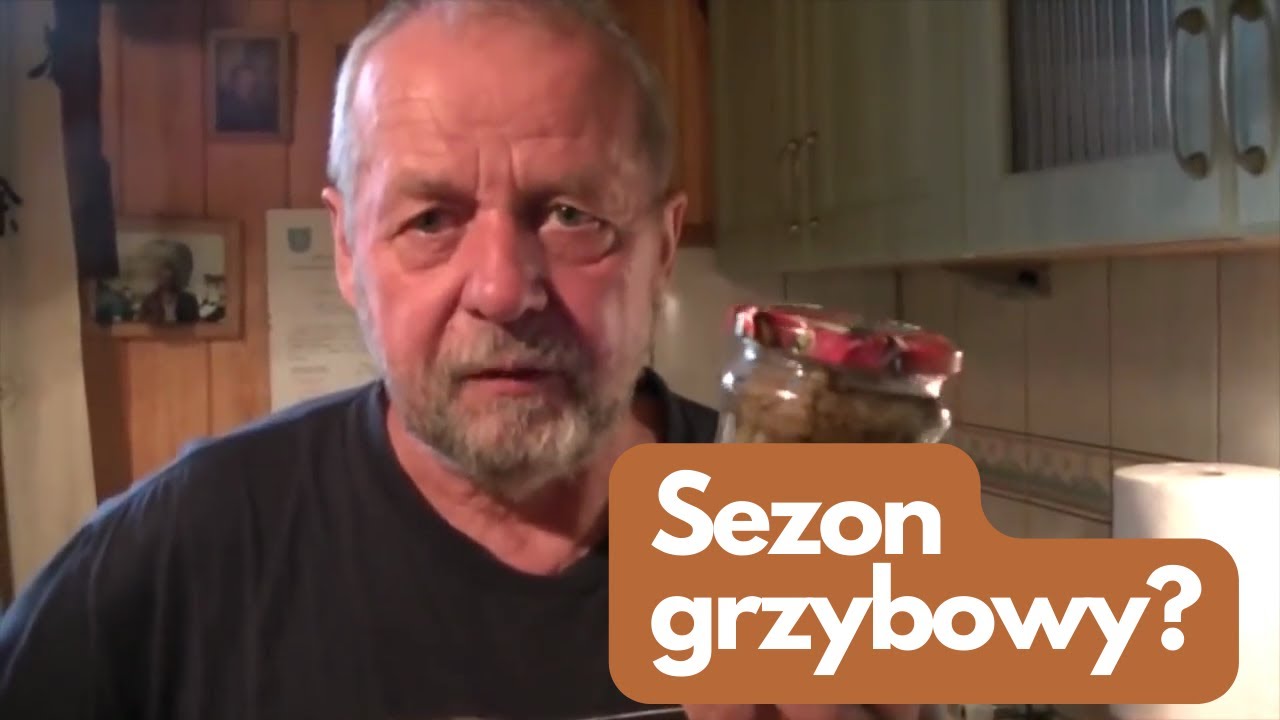 Zbieramy grzyby i przygotowujemy zapasy na zimę