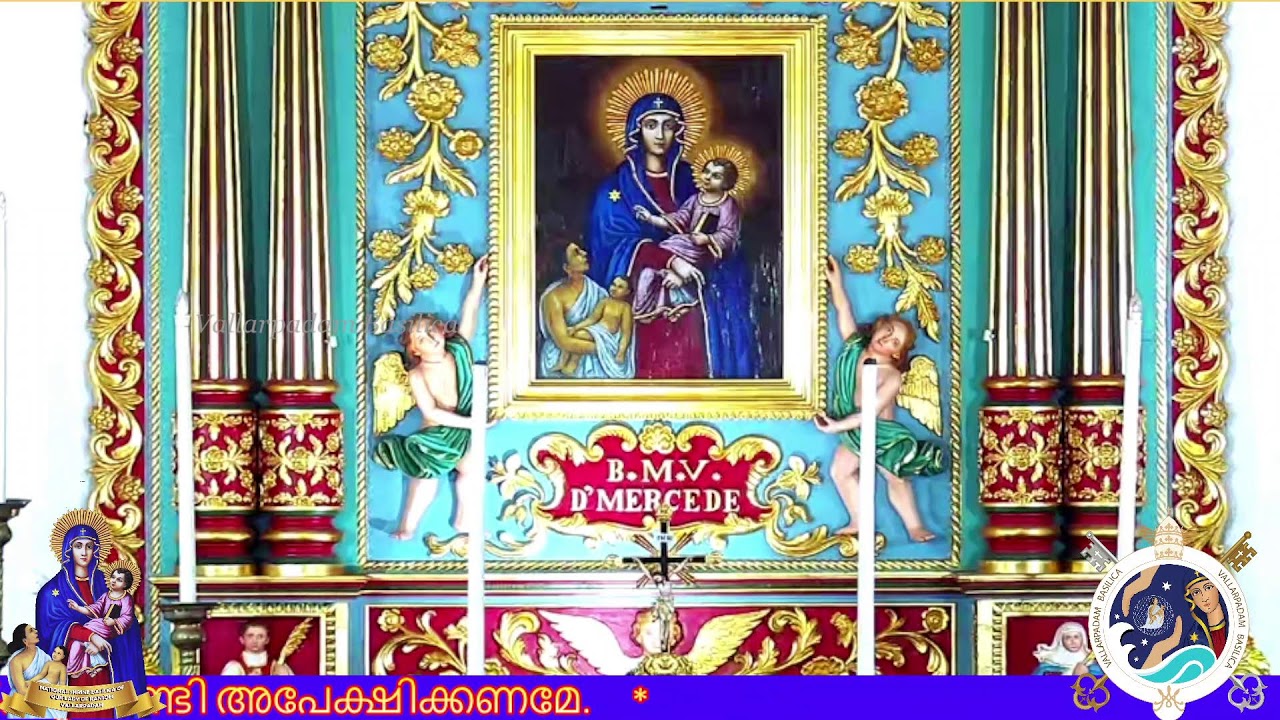 16 NOVEMBER 2025 -07.00AM || LIVE HOLY MASS  ||  VALLARPADAM SHRINE BASILICA