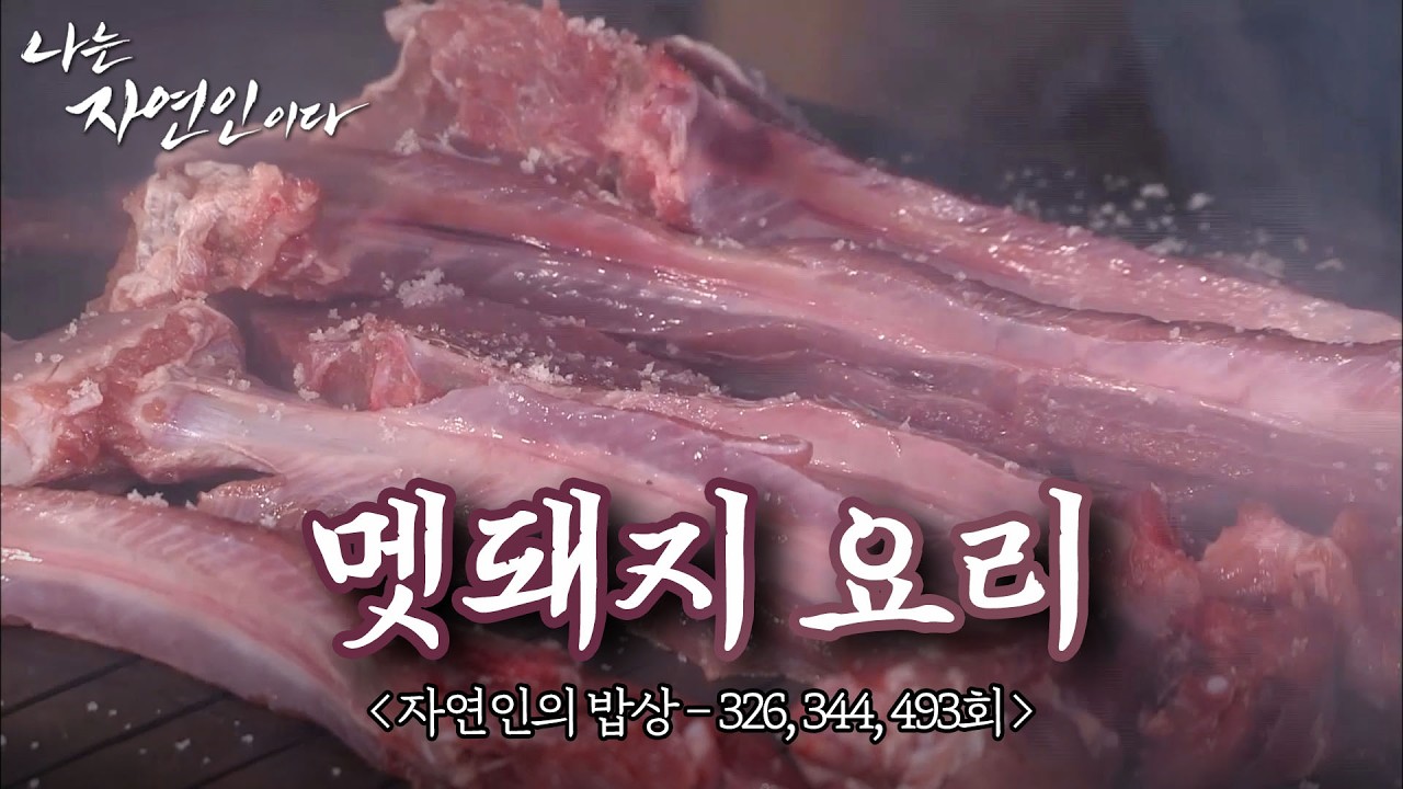 산속에서 즐기는 야생의 맛! 입안 가득 담백하고 쫄깃하게 퍼지는 멧돼지 요리 모음집｜자연인의 밥상