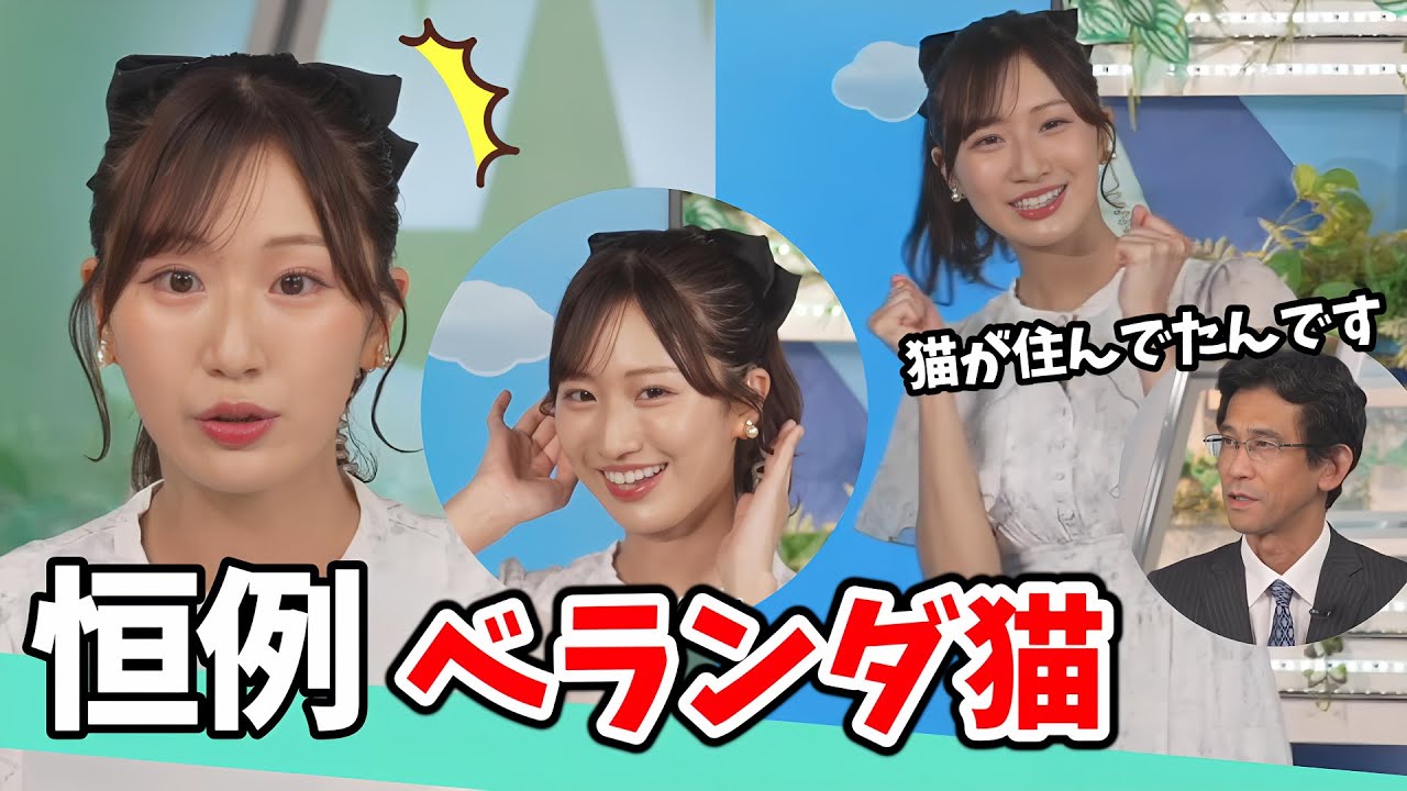 【田辺真南葉・山口剛央】山口さんの恒例「ベランダの先住猫」の話も出てくる真南葉ちゃんのコーヒータイムダイジェスト【青原桃香】【ウェザーニュース切り抜き】