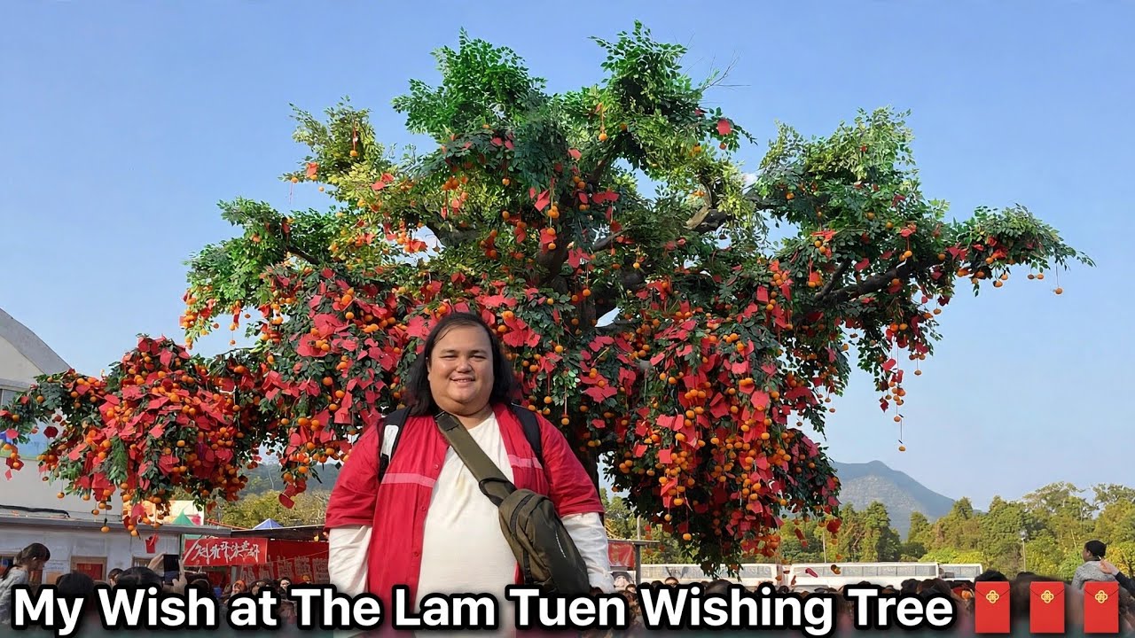 I visited the Lam Tsuen Wishing Tree