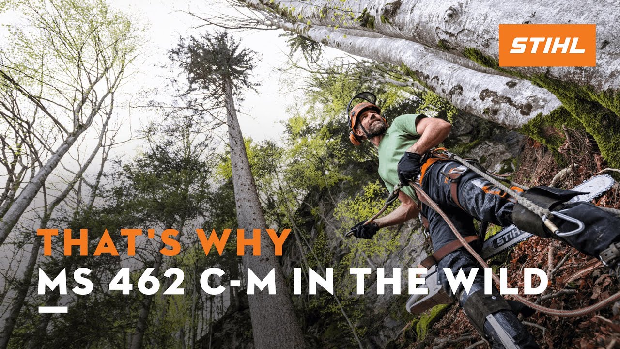STIHL MS 462 C-M | A chainsaw-test in the wild | That's why