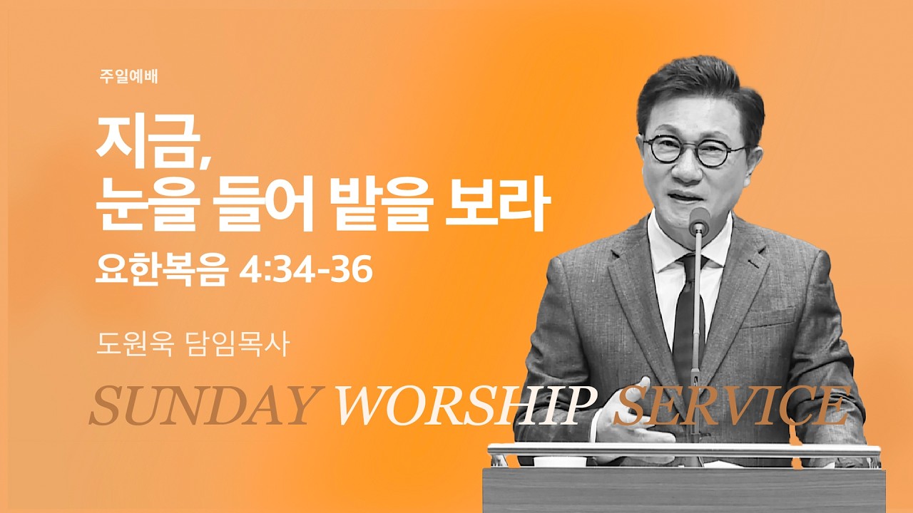 [한성교회 주일예배 도원욱 목사 설교] 지금, 눈을 들어 밭을 보라_2026.3.15