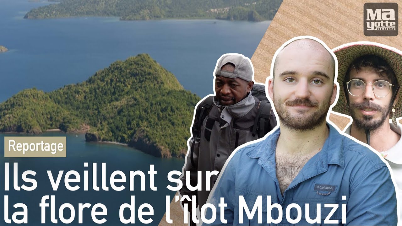 Une matinée à surveiller les espèces rares de l'îlot Mbouzi