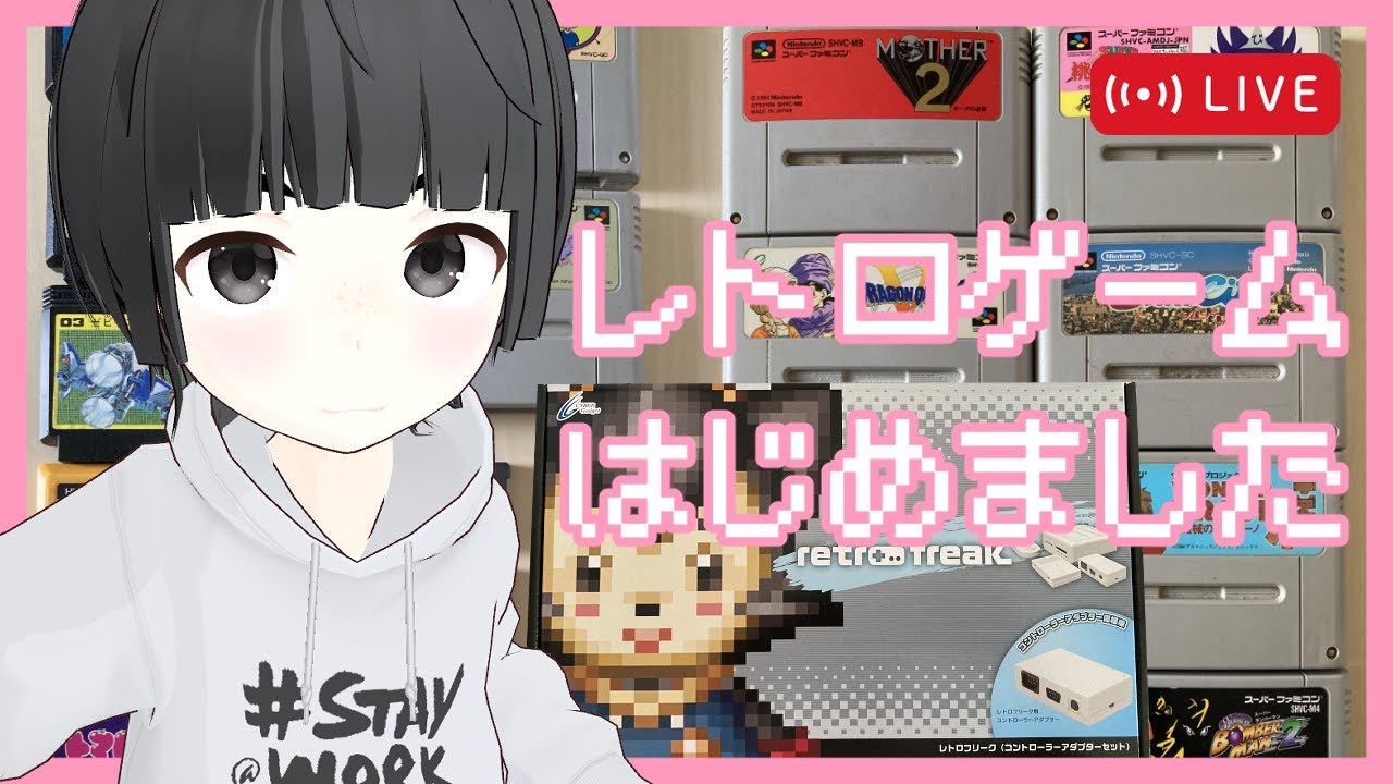 【レトロゲーム】駿●屋のジャンクワゴンから買ってきたゲームソフトの動作確認をする【レトロフリーク】
