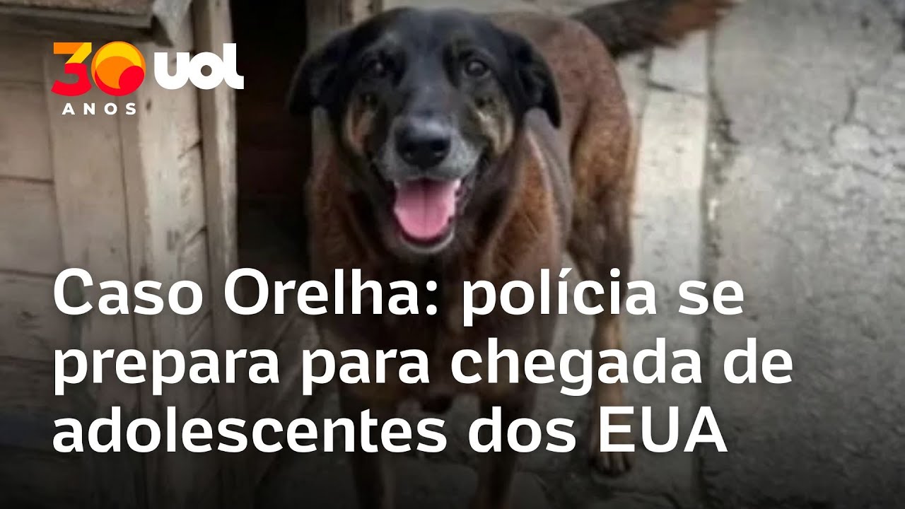 Caso Cão Orelha: polícia reforça segurança em aeroporto para chegada de adolescentes dos EUA