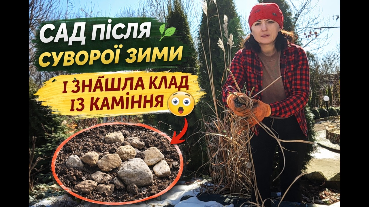 Після суворої зими мій сад не впізнати 🌿Весняні роботи і несподіваний “клад” із каміння #сад #garden