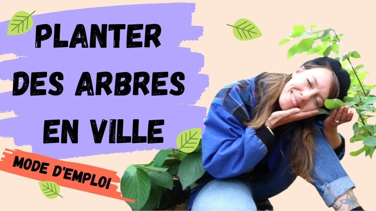 PLANTER DES ARBRES EN VILLE : MODE D'EMPLOI