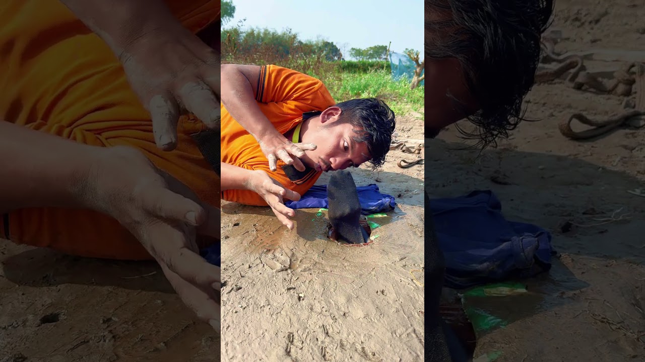 There was putty all around. #funny #viral #snake #shorts #fyp. Shorts