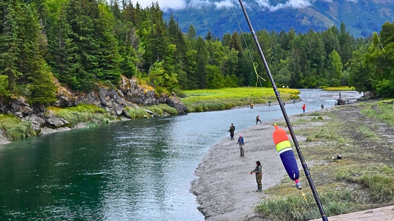 Float Fishing For Silver Salmon - EPIC BOBBER DOWN