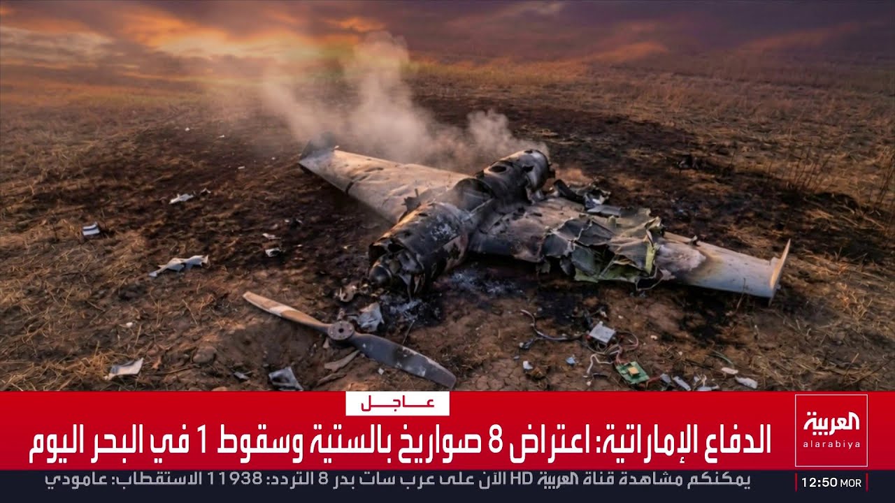 سلاح أوكراني بـ2000 دولار قادر على إسقاط المسيرة 