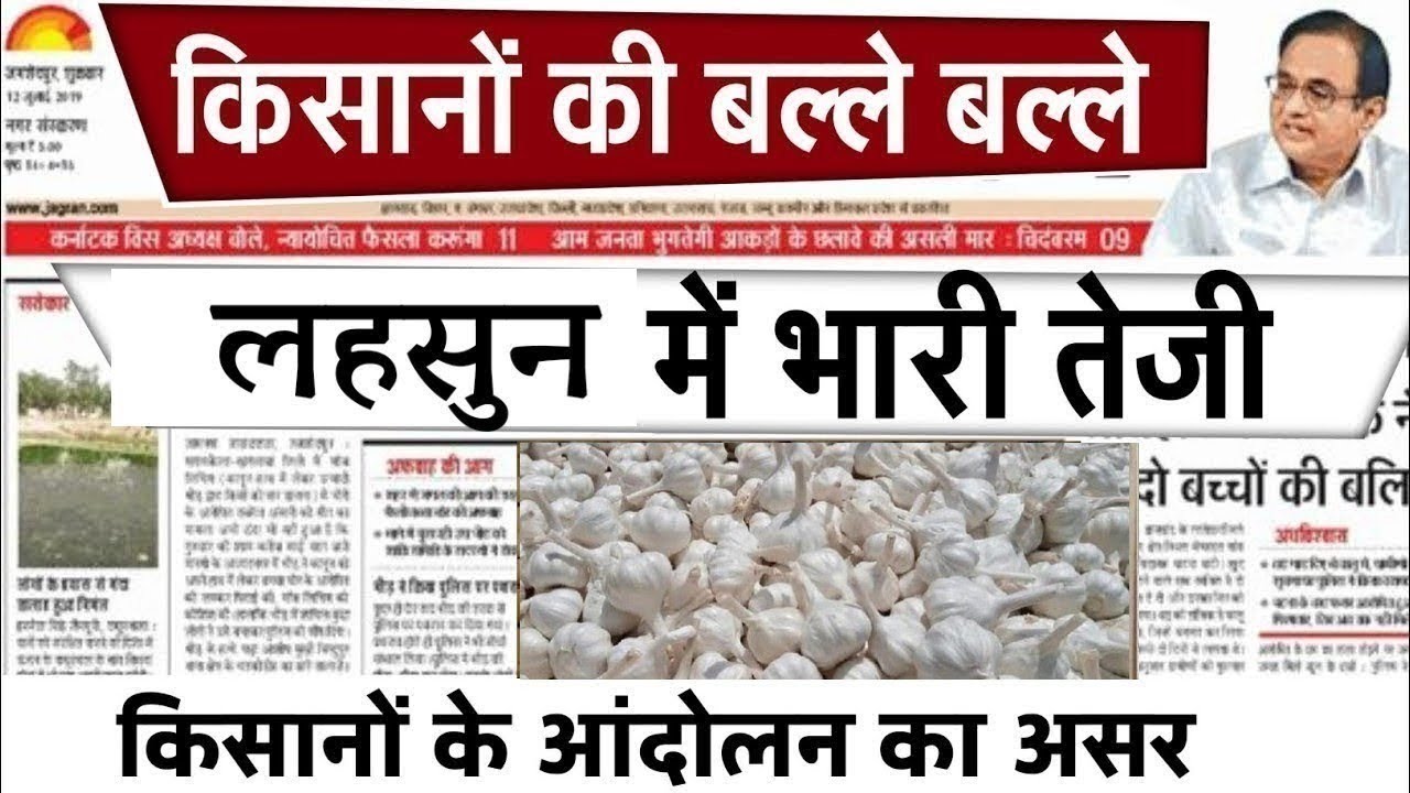 20 मार्च 2026 ,लहसुन मंडी | Aaj Ka Lahsun Ka Bhav | Today lahsun #garlicratetoday