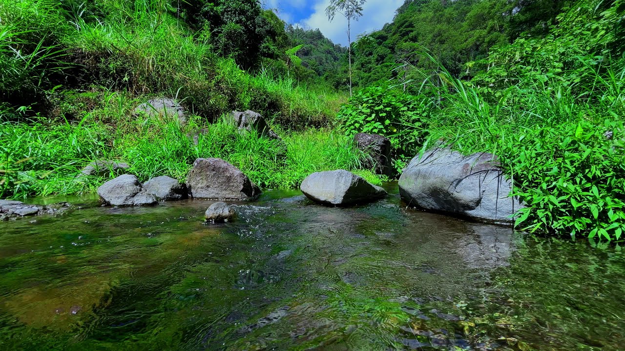 Gentle River Water Sounds for Nighttime Peace – Calming Ambience for Serenity