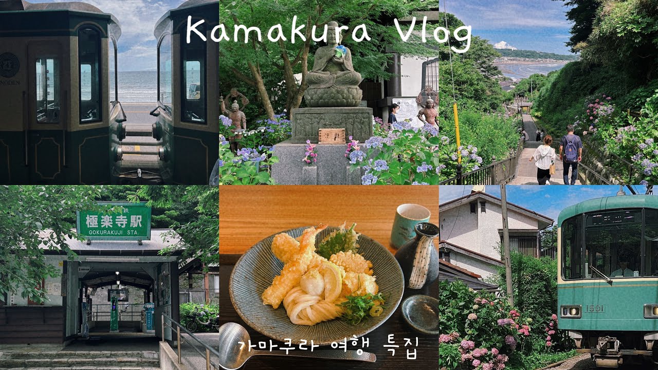 여름이었다…🚋 🌿가마쿠라 당일치기 여행 특집|鎌倉Vlog|에노시마, 가마쿠라코코마에, 고쿠라쿠지, 하세, 우동맛집, 유히가하마해수욕장, 츠루오카하치만구