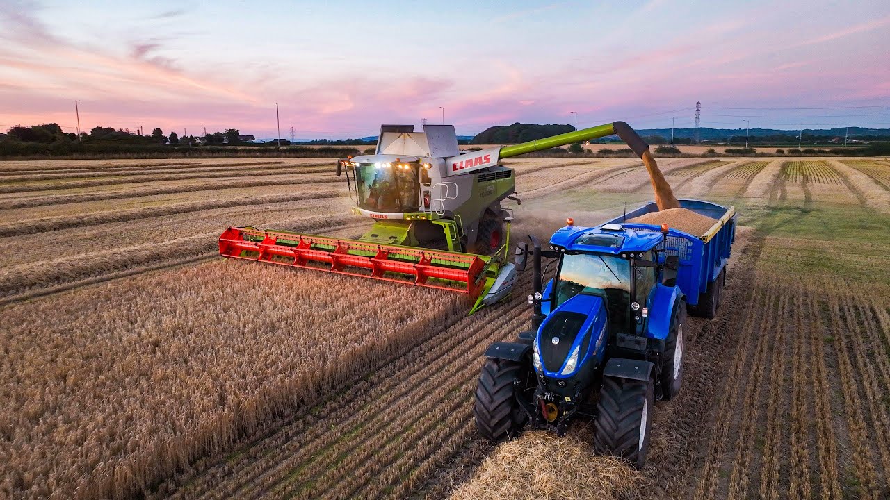 A Johnson's Claas Lexion 750TT cutting Wheat (4K)