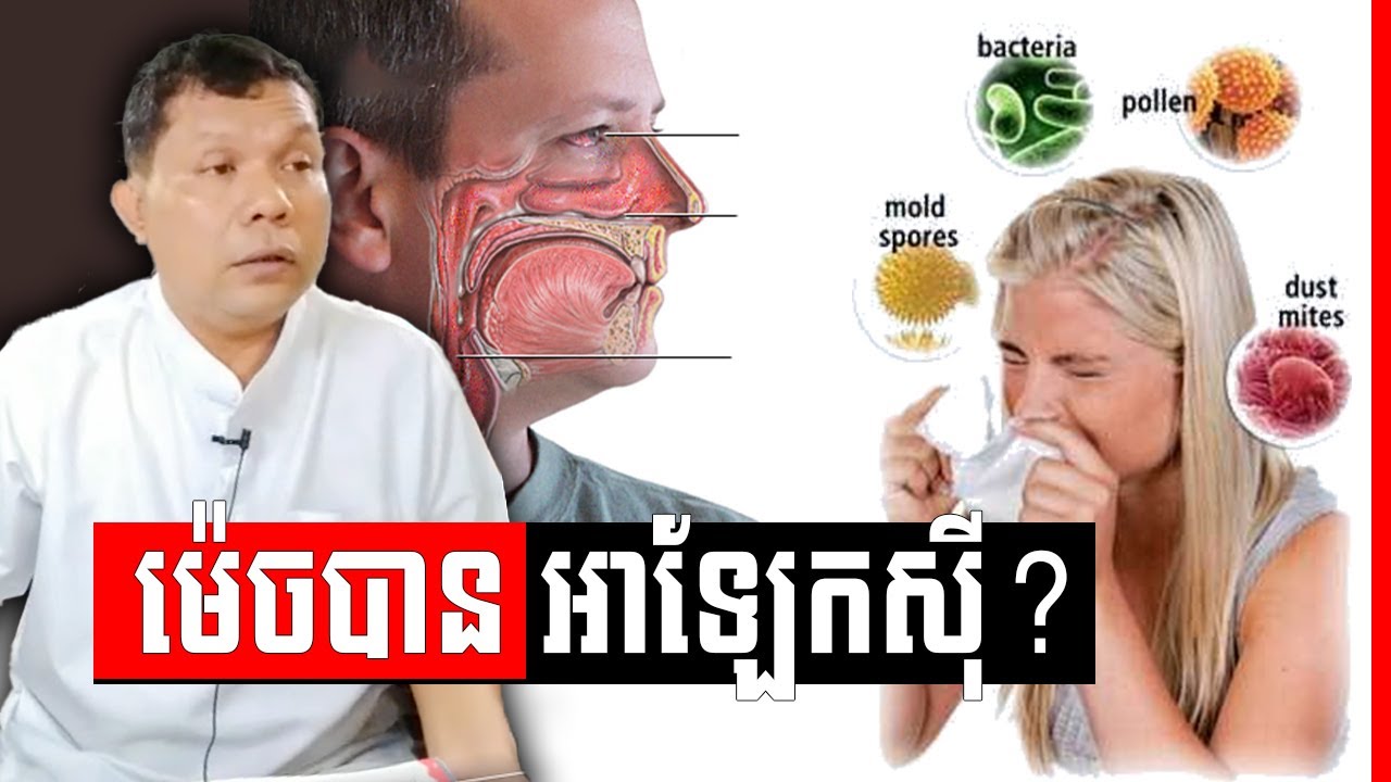 ជំងឺអាឡែកស៊ី ដែលបណ្តាលពីមេរោគ dust mite  វេជ្ជ  ហែន ភារៈ , Allergic rhinitis