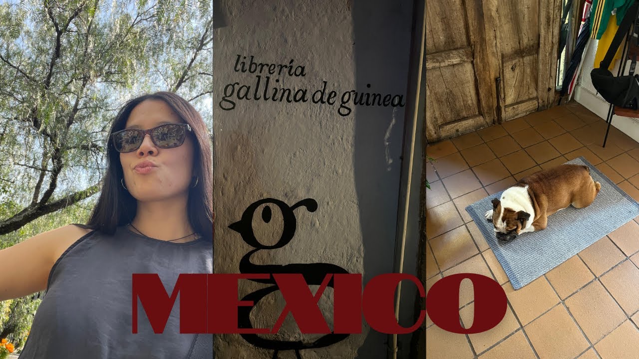 Vlog 2  México Lindo pt 2