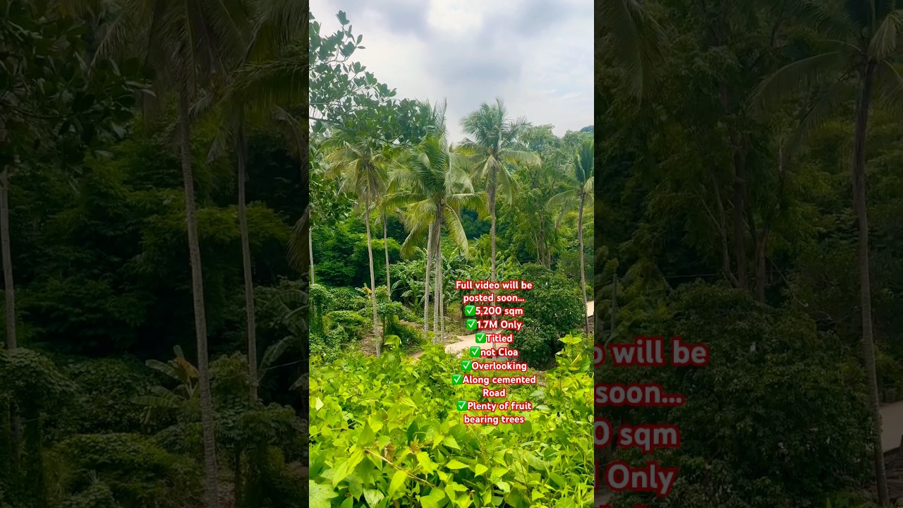 5,200 SQM - PHP 1.7M ONLY FARM FOR SALE IN LAGUNA Full video at property 85