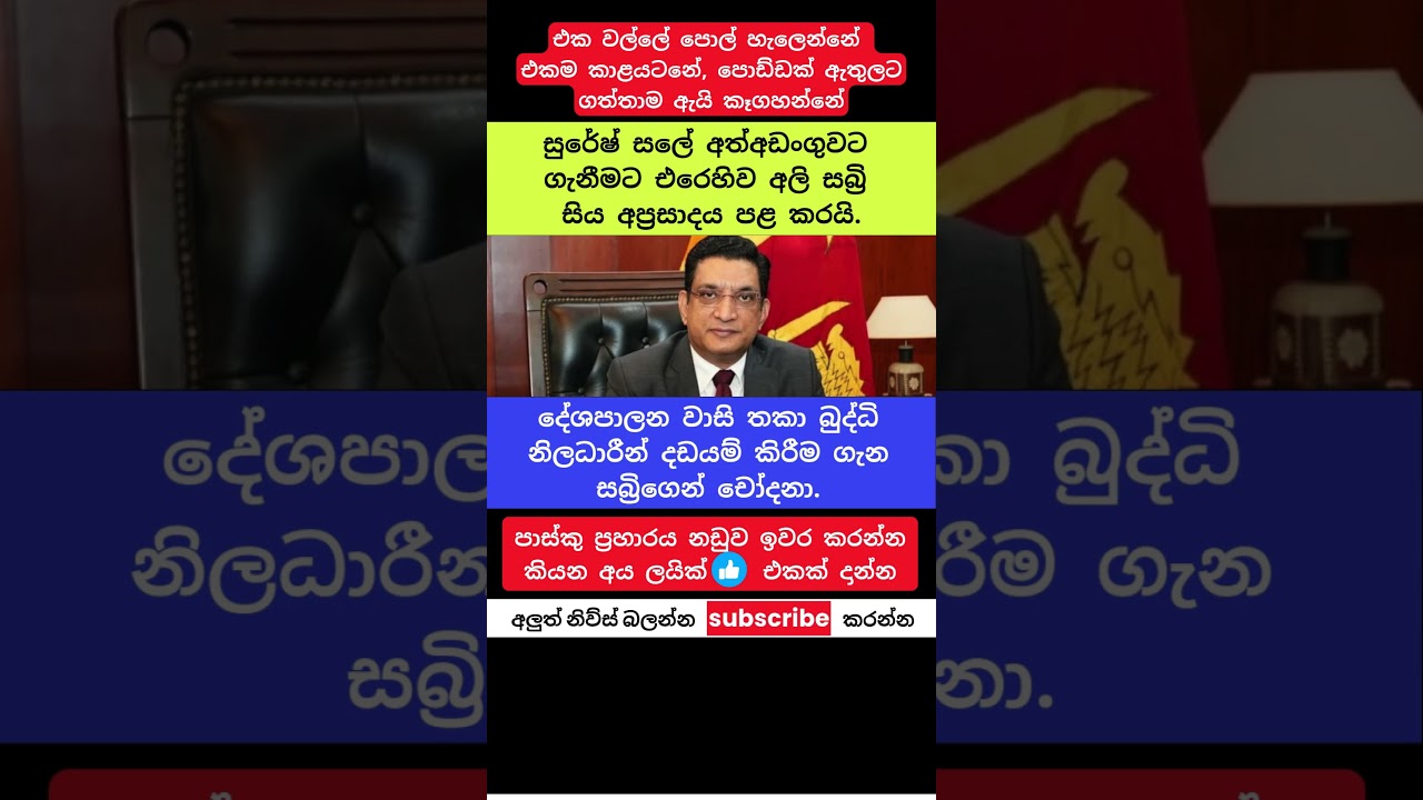 සුරේෂ් සලේ අත්අඩංගුවට ගැනීම ගැන අලි සබ්&zwj;රි දැඩි විරෝධයක #trending #viral #short #sri lanka #breakin