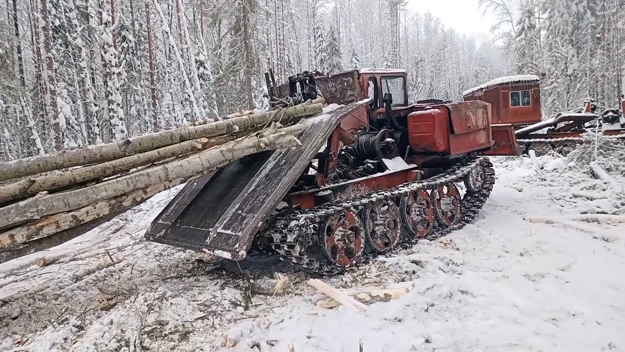 В мороз на волок , ТДТ 55.