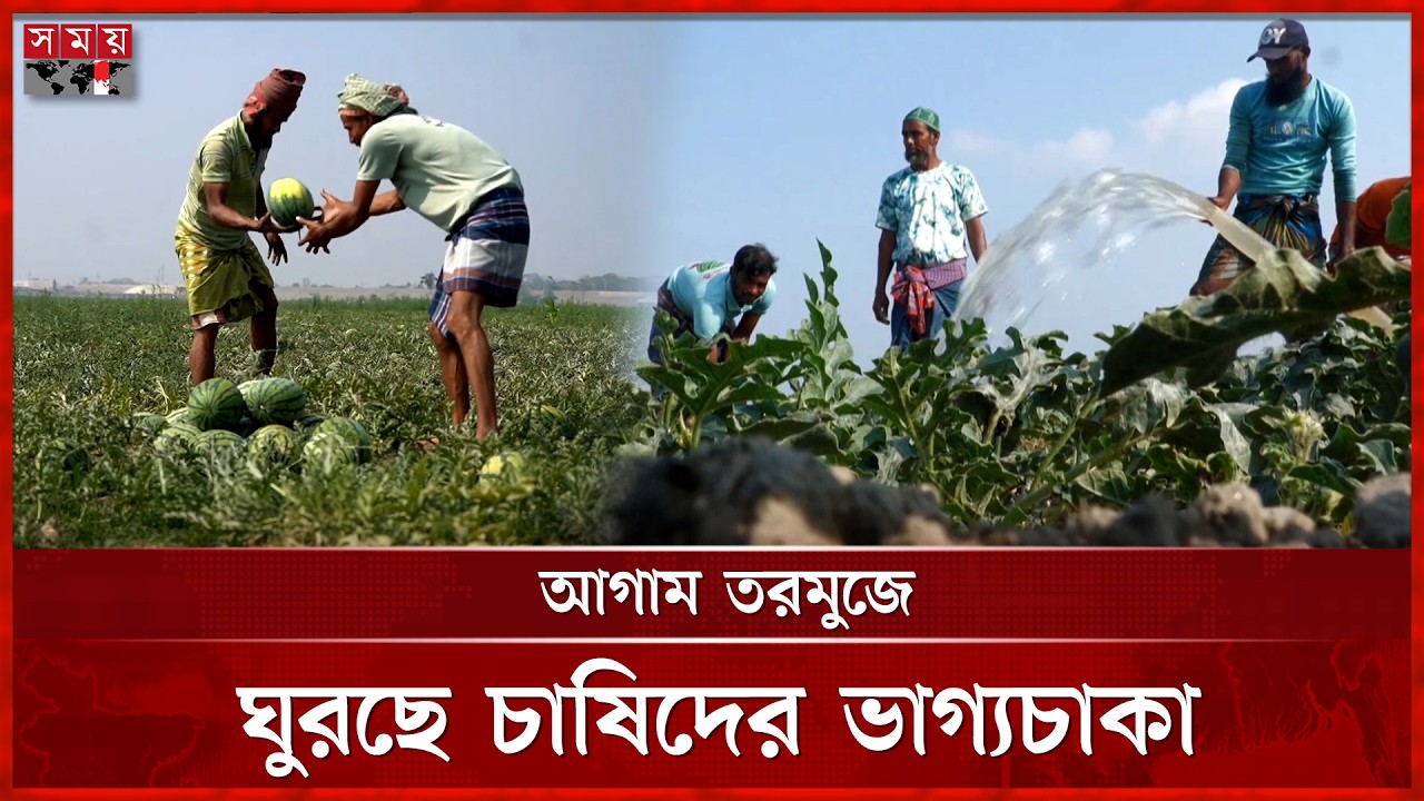 লক্ষ্যমাত্রা ছাড়িয়ে তরমুজ চাষ, হাজার কোটি টাকার বাণিজ্যের আশা | Patuakhali | Watermelon Farming