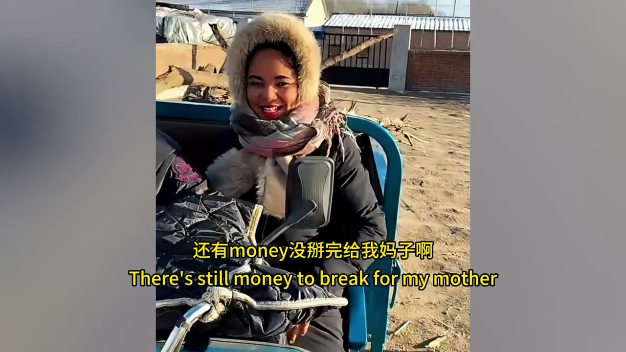 Taking Xiaomi to experience rural life in Northeast China, chopping wood and catching geese