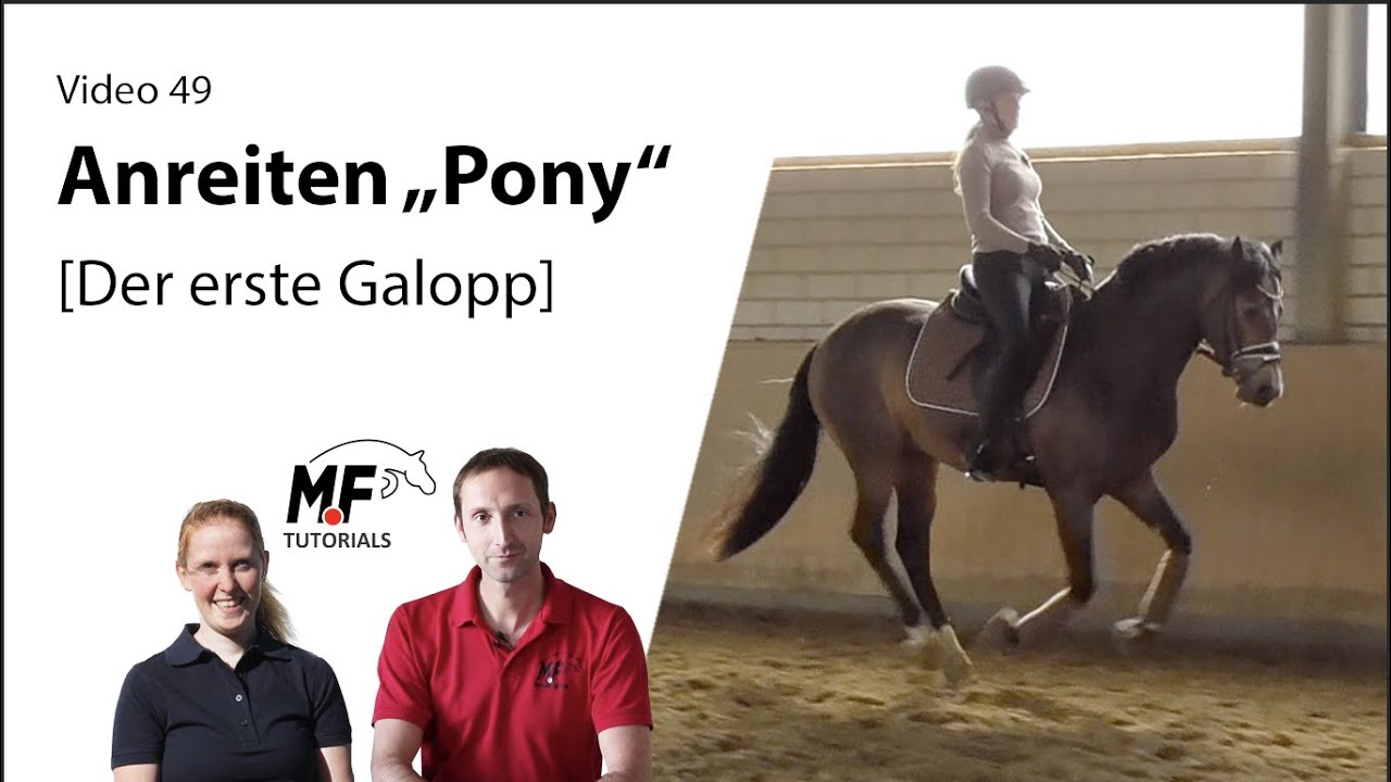 [49] Anreiten (Teil4) | erstes mal frei galoppieren  | Jungpferdeausbildung | 3j. Pony Hengst