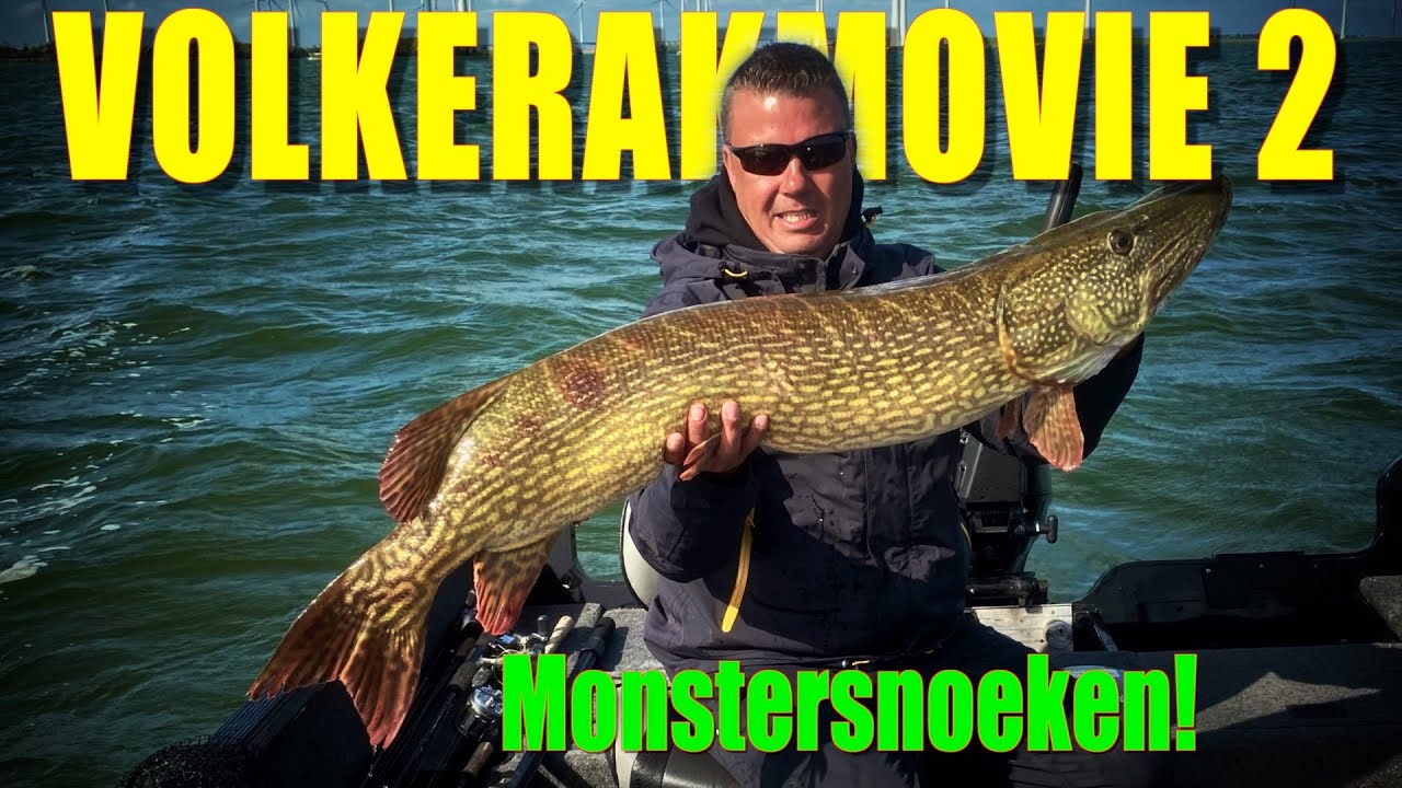 Epic pikes on the Volkerak week! 🔥 🎣 💪🏻