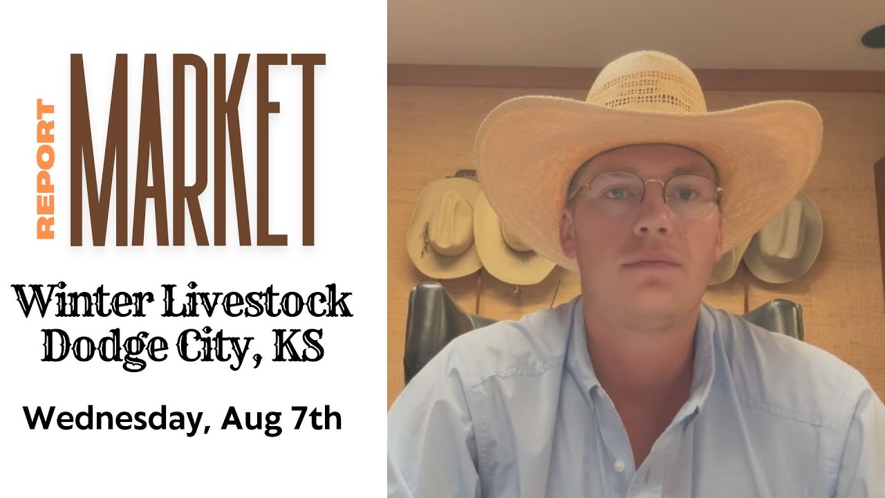 Mason Winter - Winter Livestock Dodge City Market Report - Wednesday, August 7, 2024