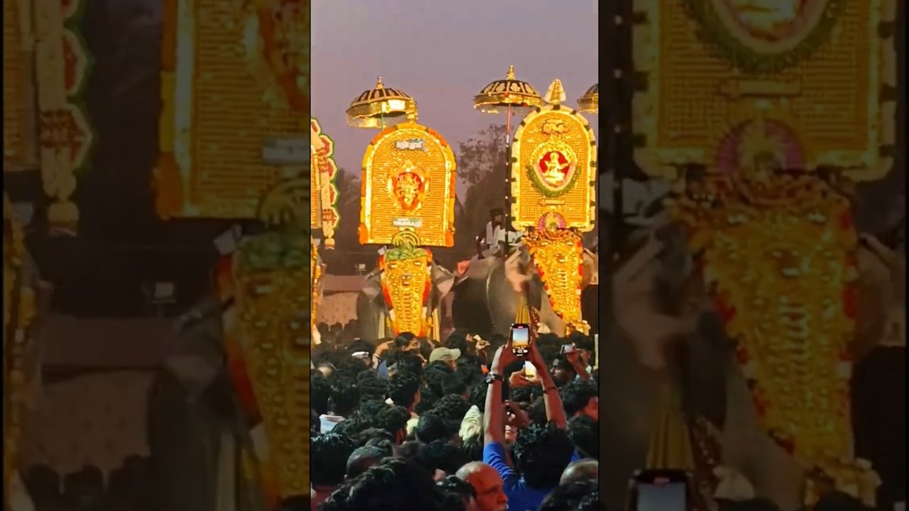 Chalisseri pooram #Gajaveeranmar #YouTube shorts #viral video #trending shorts #Kerala Uthsavu