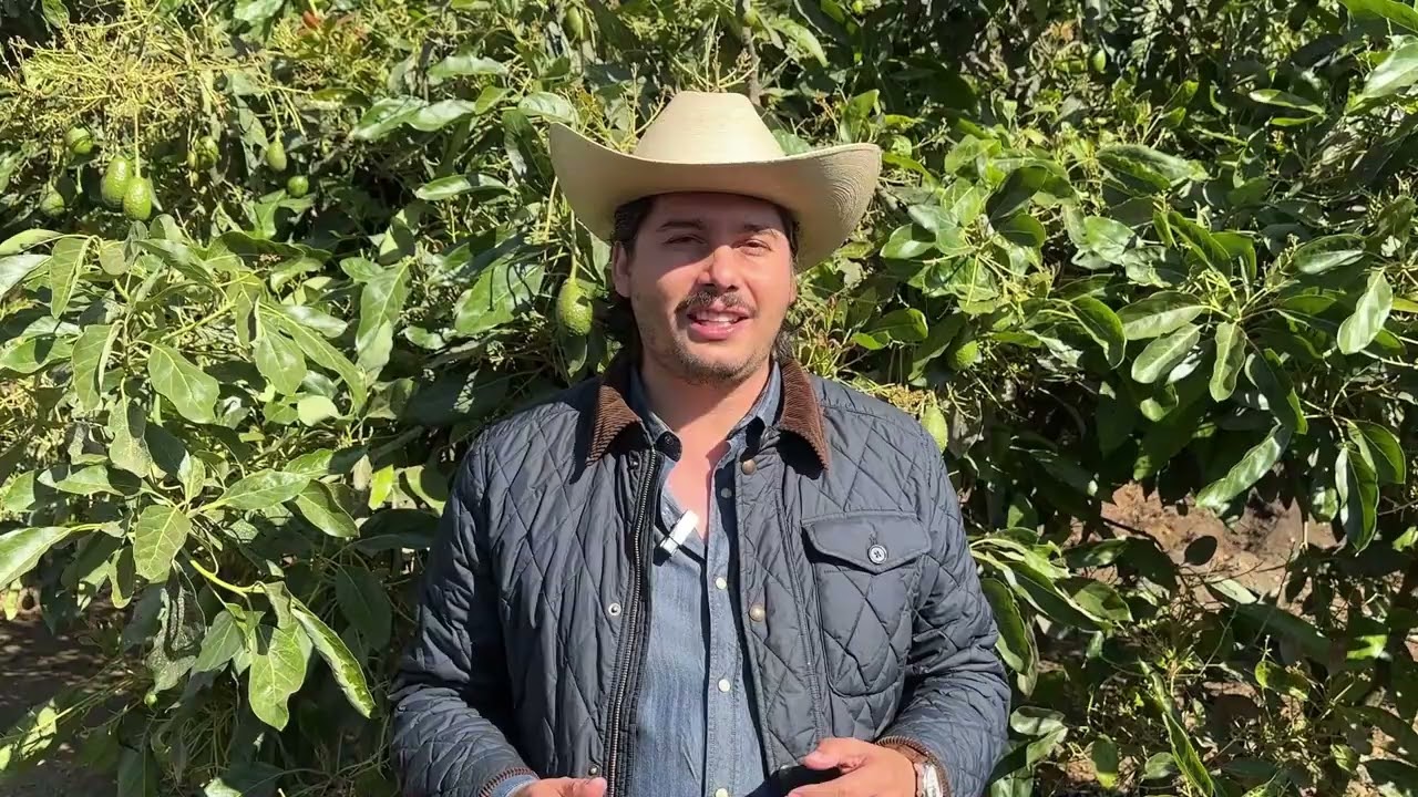 Tianguis Artesanal 2026