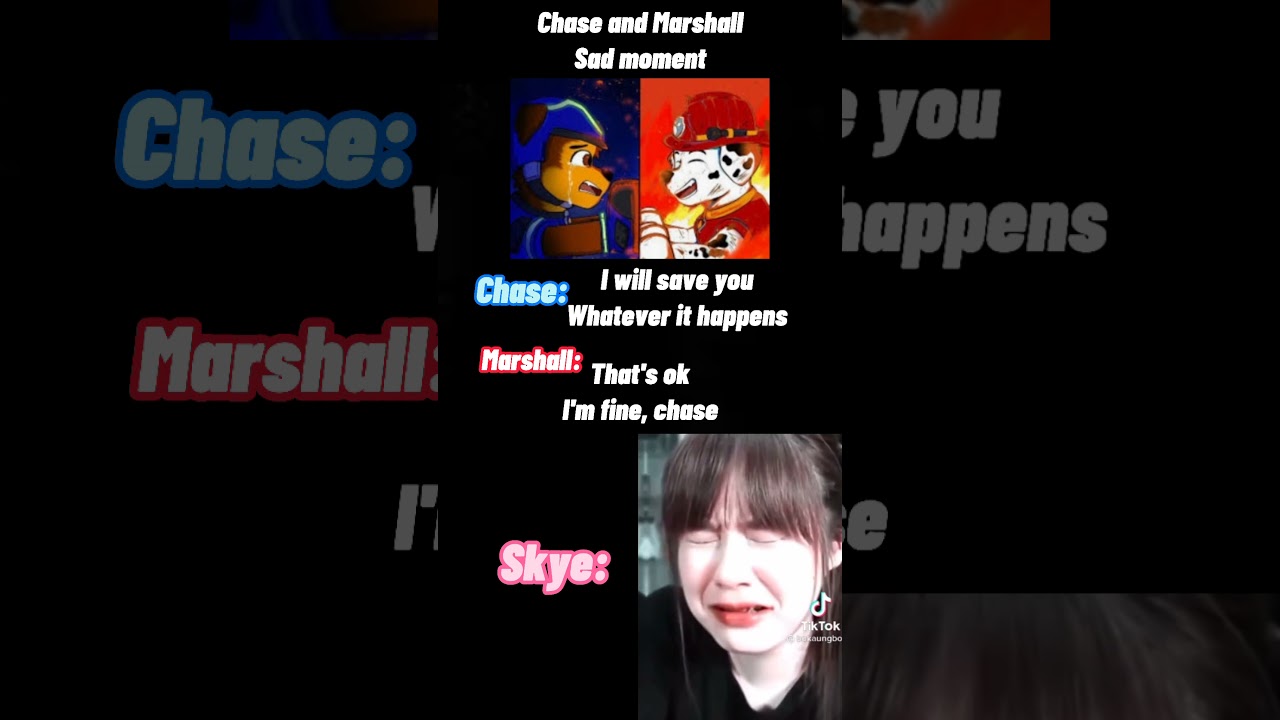 Paw patrol chase and Marshall sad moment 😢