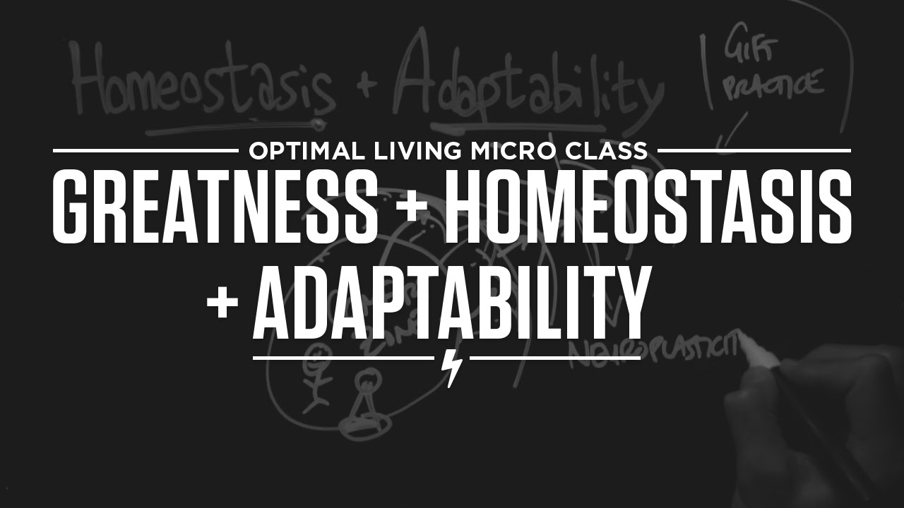 Micro Class: Greatness + Homeostasis + Adaptability