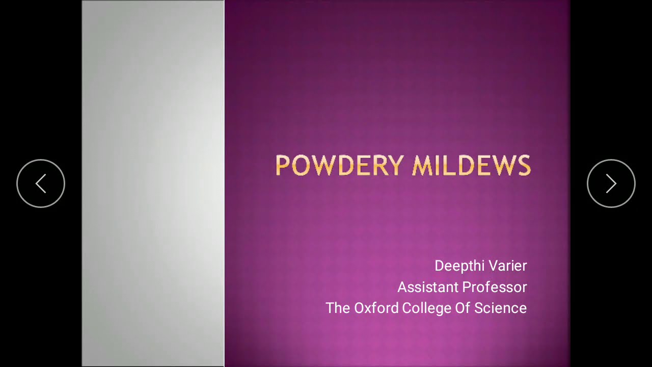 Powdery Mildews | Plant pathogens