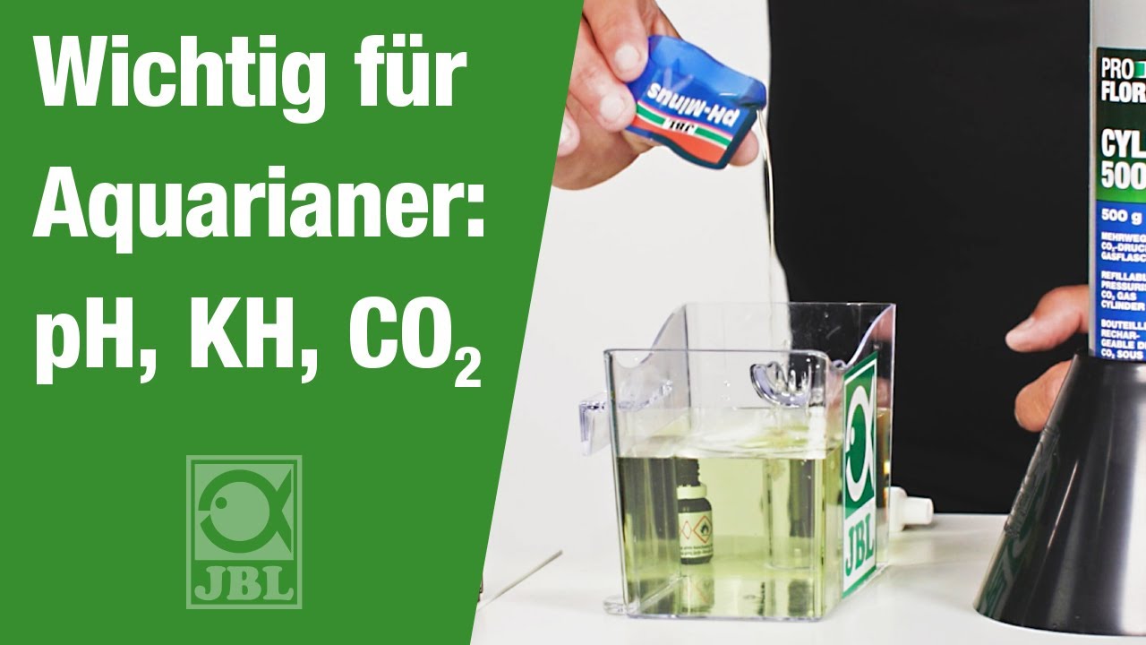 JBL TV 38: Wichtig für Aquarianer: pH, KH und CO2 - Der Zusammenhang