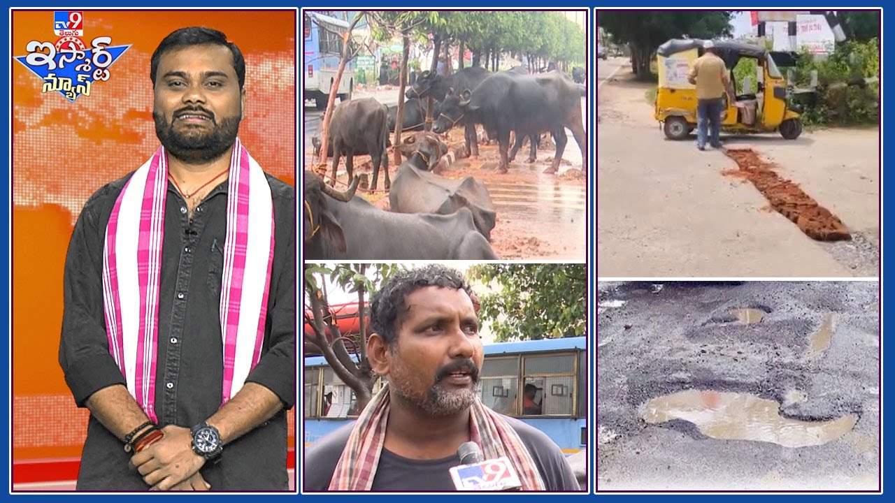 iSmart News : 7 రోజులుగా పస్తులుంటున్న విజయవాడ పశువులు | అధికారులు చేయాల్సిన పని ఆటో Driver చేసిండు